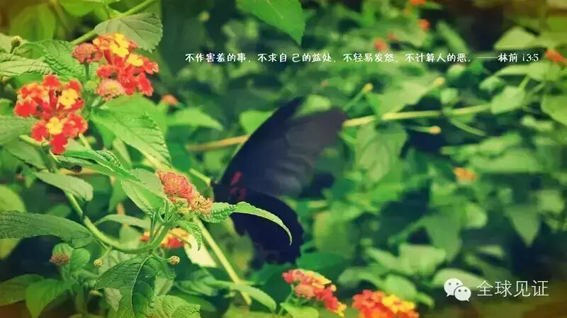 【婚恋】爱的定义 - 感觉还是行动？
