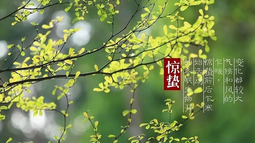 朗诵:惊蛰——给梦想一个春天