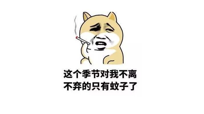 60只蚊子写作文,不服都不行!