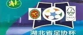 第三届湖北省足协杯决赛直播地址