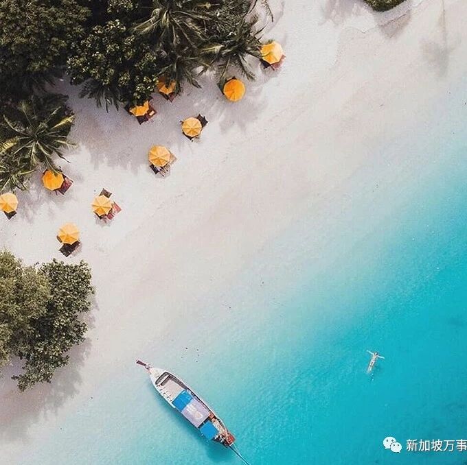 官宣!泰国全面开放电子签证系统,申请不要太简单~