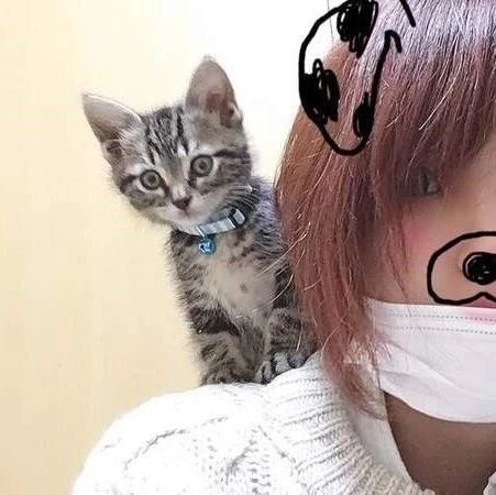 为了蹭个热门，冒着被猫主子菊花蹭脸的风险，真的大丈夫？