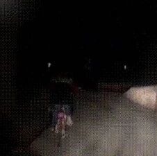 小学生鞠躬致谢照路司机,司机却觉得无地自容……